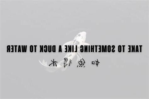 如魚得水 意思